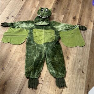 Size 5-6 lizard/dragon costume